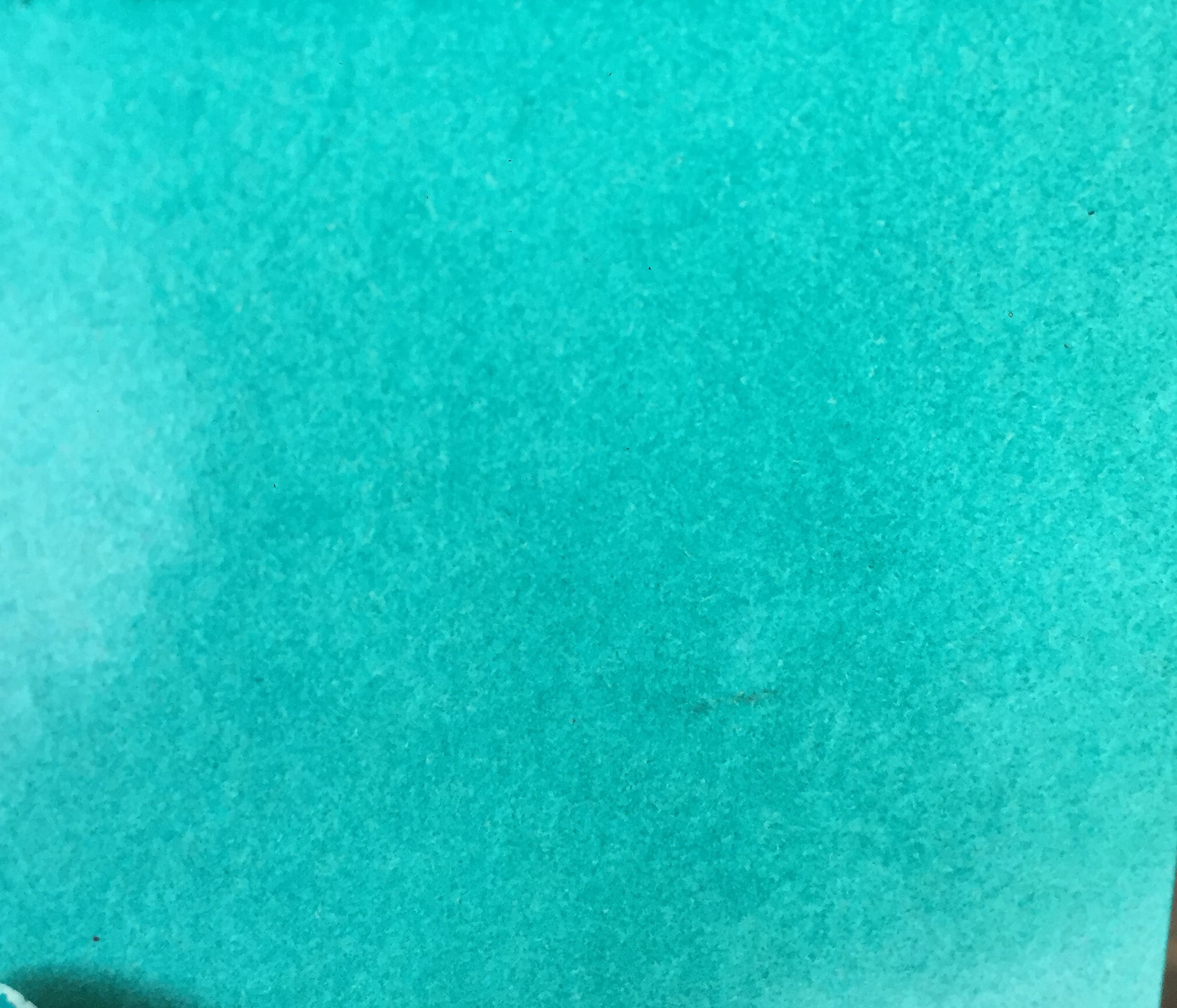 Siesta key colorations spray art anthology